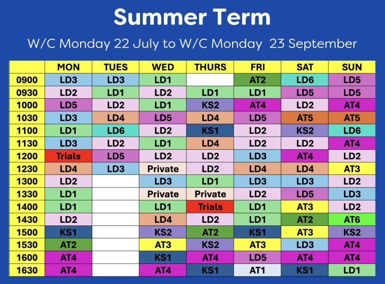 summer term image